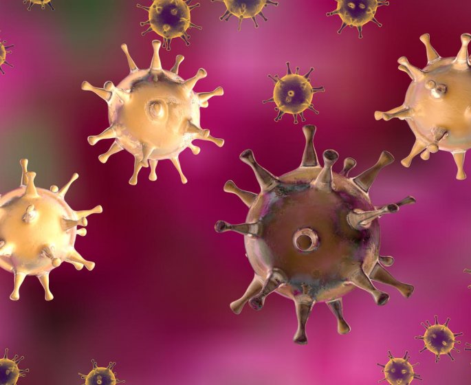Herpes genital et herpes labial : un risque de transmission du virus