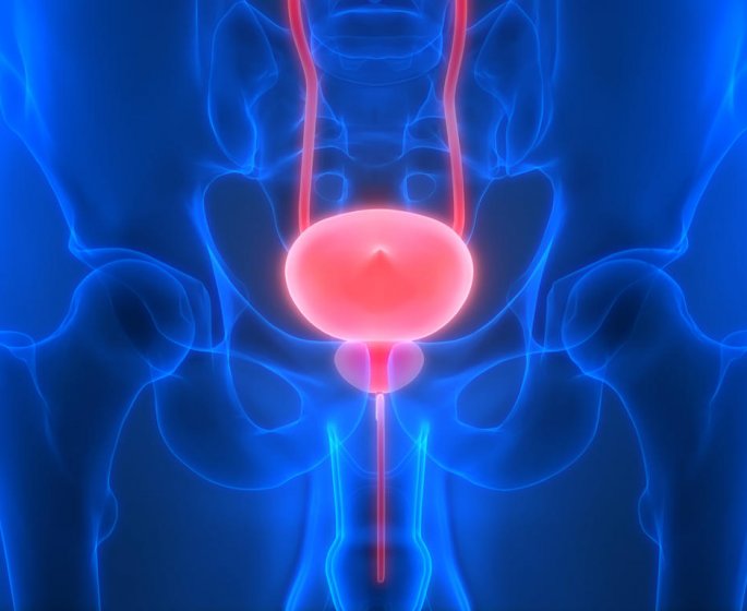 Prostatite et cancer de la prostate : existe-t-il un lien ?