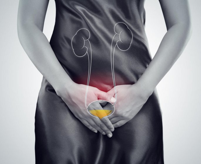 Maladies des reins : comment vos urines les revelent