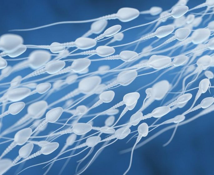 Fausses couches a repetition : le sperme en cause ?