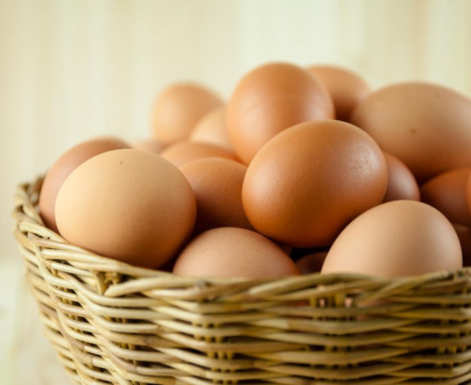 Les œufs : comment bien les choisir ?