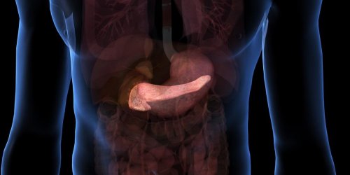 Cancer du pancreas : la phase terminale