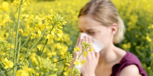Nez bouche et rhinite : ou consulter la carte des allergies ?