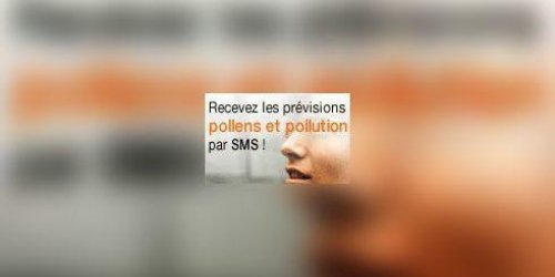 &quot; Info Pollens Pollution &quot; : des SMS au service des allergiques