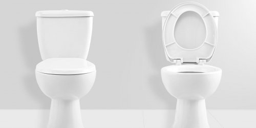 Hygiene pratique : faut-il avoir peur des WC ?