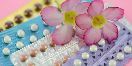 Contraception naturelle : les pilules a base de plantes