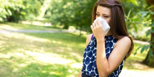 Rhume des foins : comment se manifeste l-allergie au pollen ?