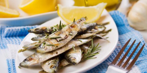 La sardine : pleine de bons Omega 3 !