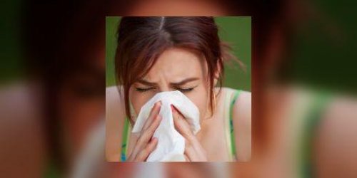 Allergie : arrivee massive des pollens