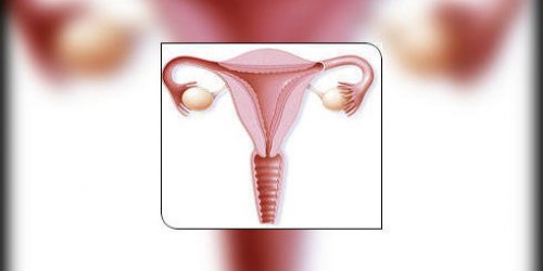 Les cancers de l-uterus