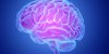 Alzheimer : des signes de démence apparaissent 9 ans avant le diagnostic