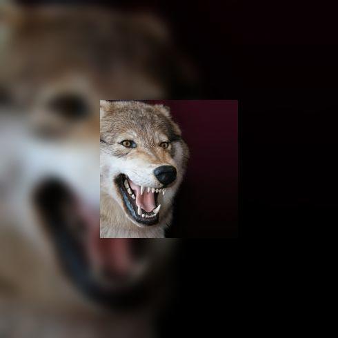 Rage