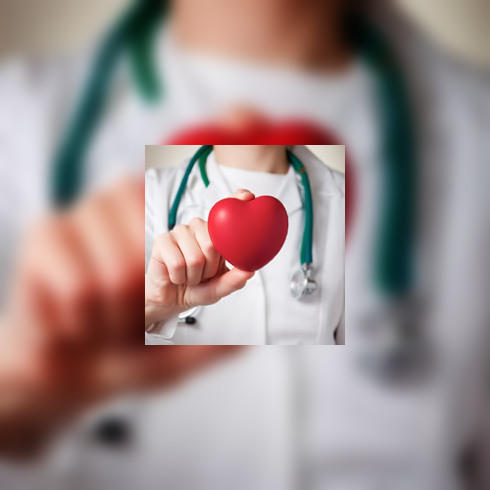Quel poids idéal pour le coeur ?