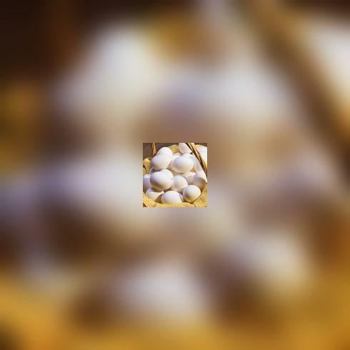 Peut-on manger des oeufs ?
