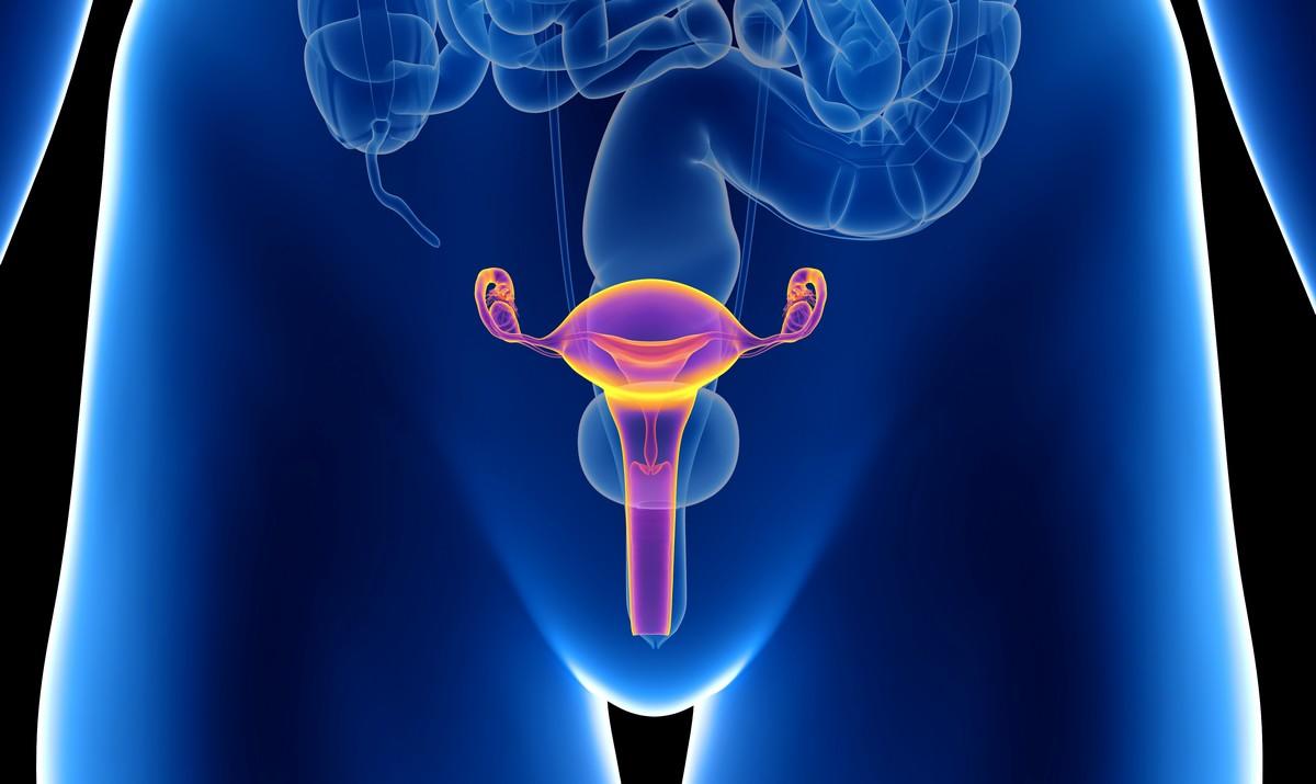 Papillomavirus miss frottis, Hpv virus fertozes tunetei - Body warts hpv