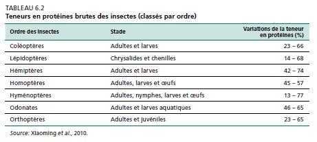 &lt;strong&gt;Ils sont riches en prot&eacute;ines&lt;/strong&gt;