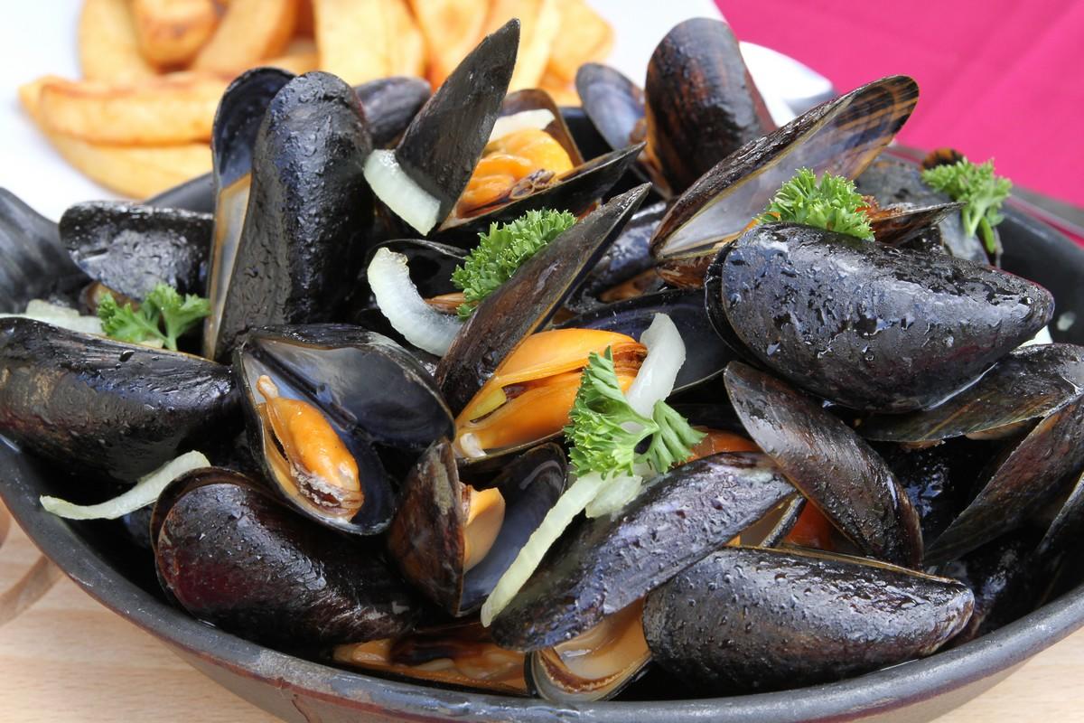 Intoxications A La Bacterie E Coli Rappel De Moules Contaminees