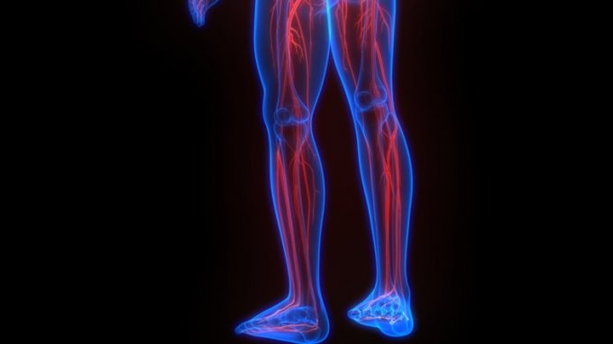 Greffe de nerf de la jambe : des avancées prometteuses