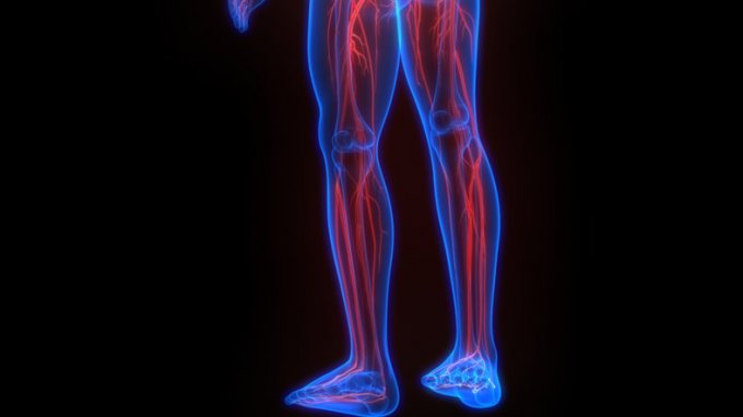 Greffe de nerf de la jambe : des avancées prometteuses