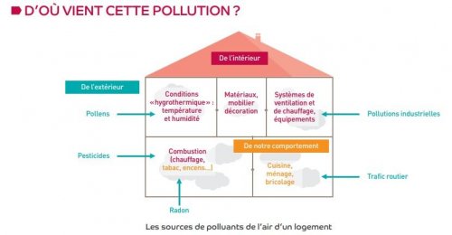 10 conseils pour dépolluer l'air de sa maison