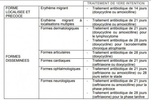 &lt;strong&gt;Diff&eacute;rentes options th&eacute;rapeutiques&lt;/strong&gt;