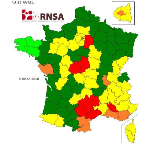 &lt;strong&gt;Bouleau et cupressac&eacute;es en plein pic&lt;/strong&gt;