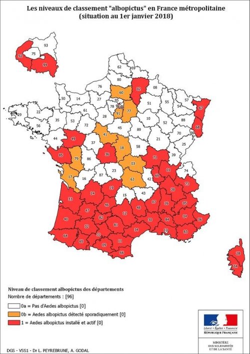 Le moustique-tigre en cause