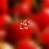 Fruits et légumes : 5 par jour pour votre coeur !