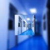 Les droits des patients en fin de vie : le refus de l'acharnement thérapeutique