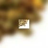 Vanadium : pas de carence