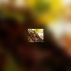 Vitamine B9 (folates) : carence