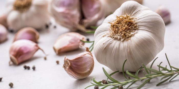 garlic garlic bulbs fresh garlic with rosemary and pepper on white concrete board