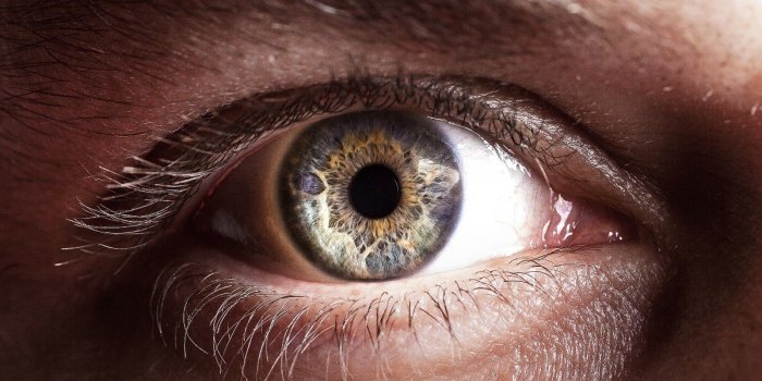 12 signes que vous êtes intelligent selon la science
