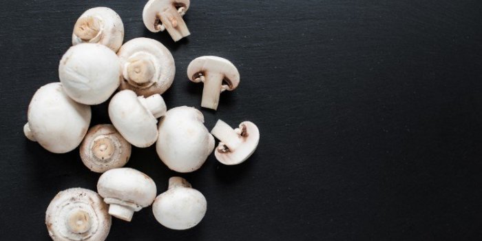 Cancer du sein : 8 aliments qui réduisent vos risques