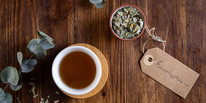 Bronchite, toux : 5 infusions qui aident à protéger les poumons