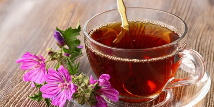 Bronchite, toux : 5 infusions qui aident à protéger les poumons