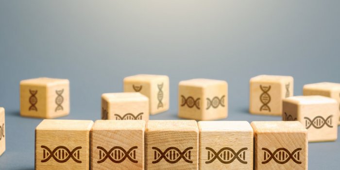 Cancer du sein : 11 facteurs à surveiller