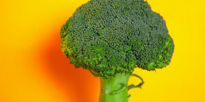 10 aliments qui donnent de beaux cheveux