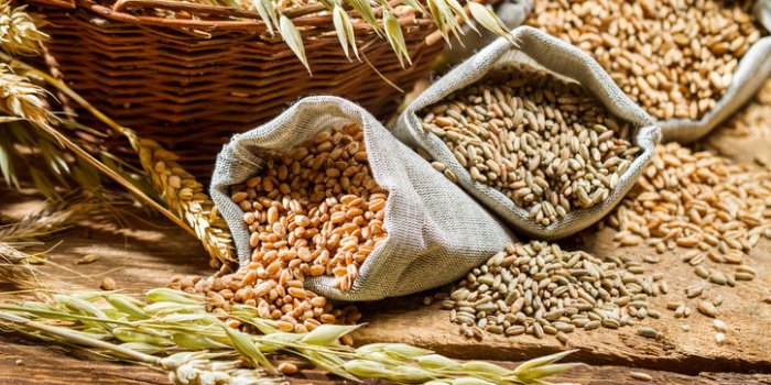 Régime longévité : ce quâil faut manger pour vivre plus longtemps