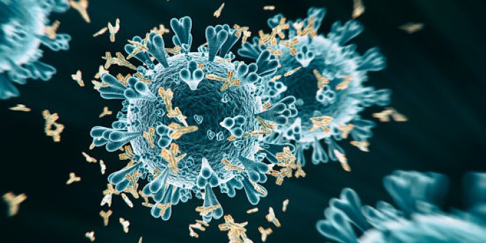 Vaccin anti-covid : les effets secondaires observés en France