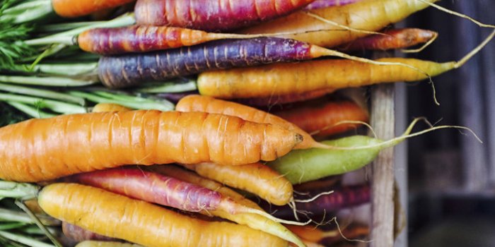 10 aliments gorgés dâeau à manger quand il fait chaud