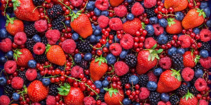 Constipation : 8 aliments efficaces pour aller à la selle, selon un médecin