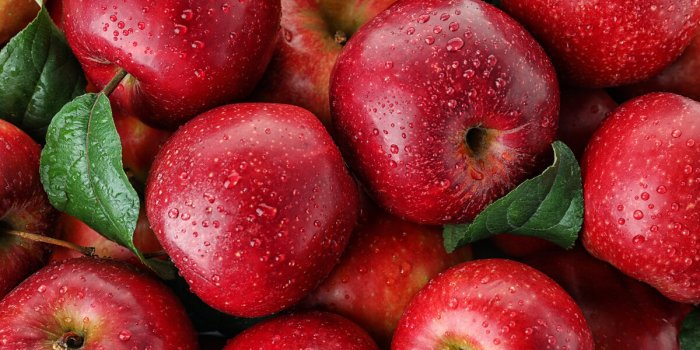 Constipation : 8 aliments efficaces pour aller à la selle, selon un médecin