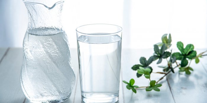 Constipation : 8 aliments efficaces pour aller à la selle, selon un médecin