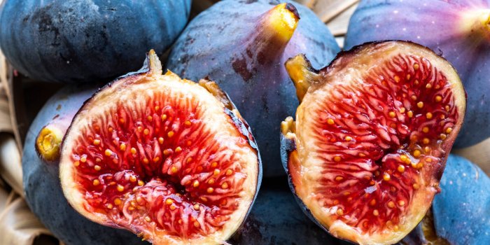 Constipation : 8 aliments efficaces pour aller à la selle, selon un médecin