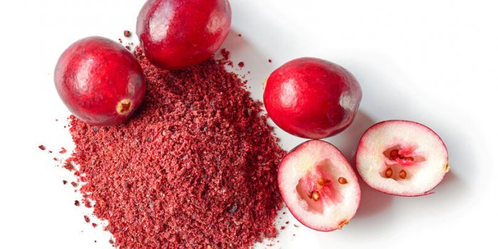 Cranberry et infections urinaires : oui, ça marche !