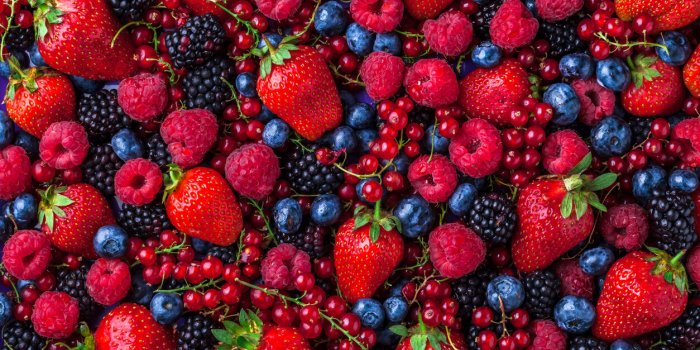 Manger aprÃ¨s 60 ans : ce qu'il faut mettre dans son assiette pour rester en bonne santÃ©