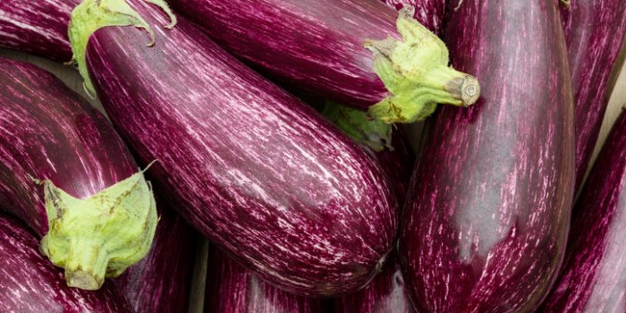 10 aliments gorgés dâeau à manger quand il fait chaud