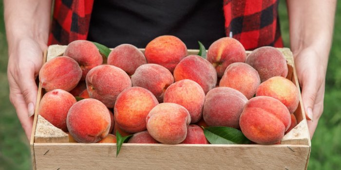 10 aliments gorgés dâeau à manger quand il fait chaud