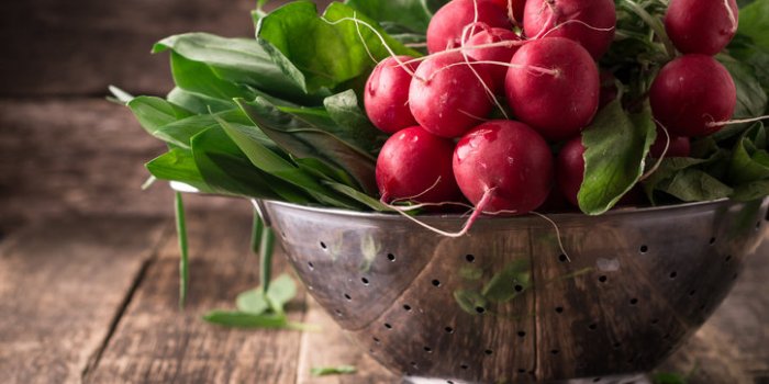 10 aliments gorgÃ©s dâeau Ã  manger quand il fait chaud